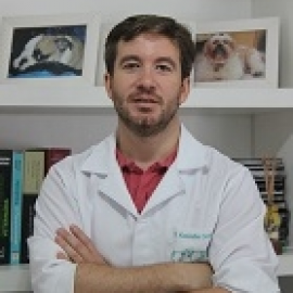 Alexandre Corrêa